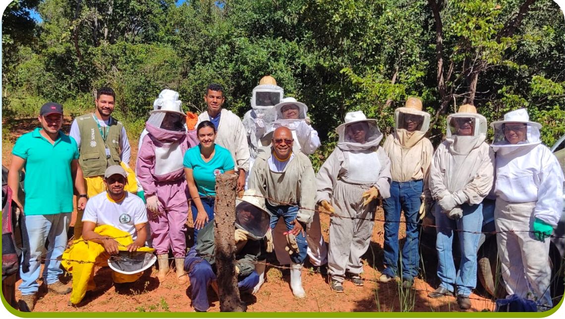 Dia do apicultor ressalta importância de atividade milenar