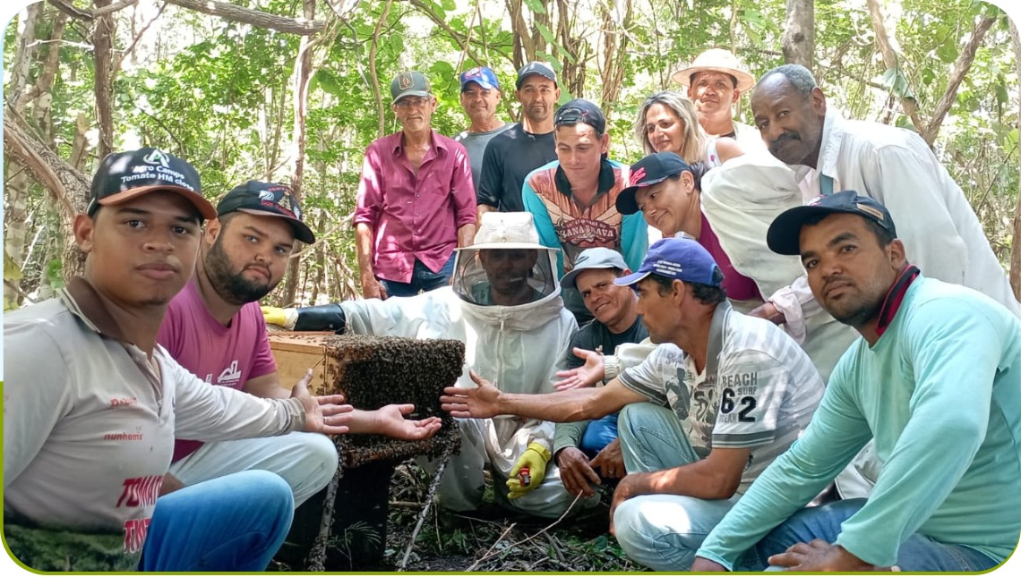 Projeto socioprodutivo visa capacitar famílias por meio da produção de mel